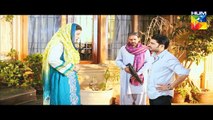 Lagao Episode 29 Full Hum TV Drama 25 April 2016