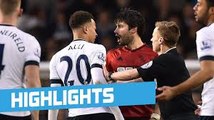 Tottenham vs West Bromwich 1-1 ■ HIGHLIGHTS & GOALS 2016 ■ HD