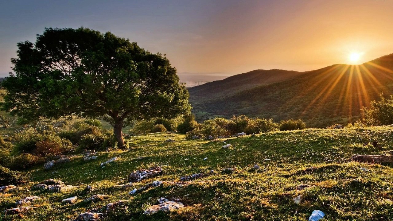 Raphael - Canto al sol