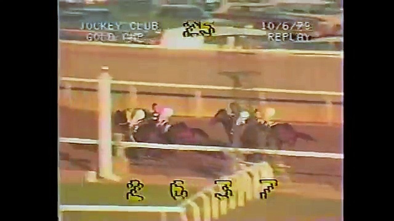 Affirmed vs Spectacular Bid 1979 Jockey Club Gold Cup