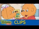 The Berenstain Bears: Brother Bear and Sister Bear at the Dentist