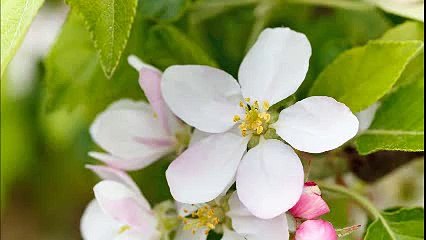 Abraham Hicks Emotional thoughts causing anxiety