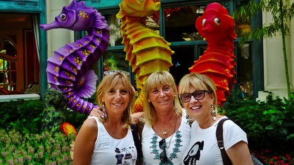 Usa 2015 Slideshow FINALE Web