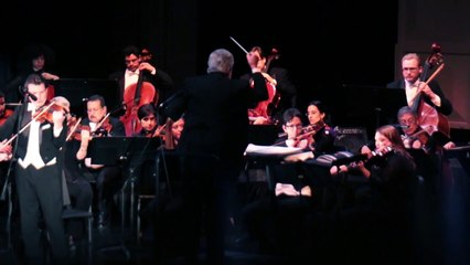 Hollywood Concert Orchestra - Schindler's List Violin Theme