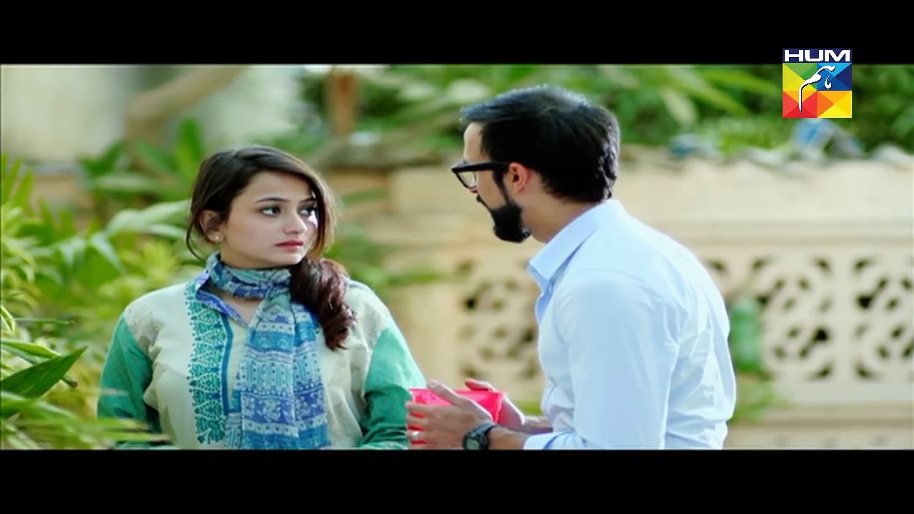 Sehra Main Safar Episode 18 Full HUM TV Drama 22 April 2016