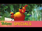Miss Spider's Sunny Patch Kids - Special