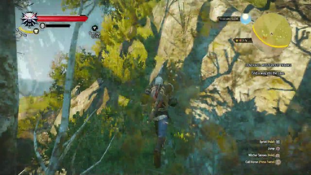 WITCHER 3 DEATH MARCH! WALKTHROUGH 166 - CONTRACT MYSTERIOUS TRACKS HOWLER BOSS