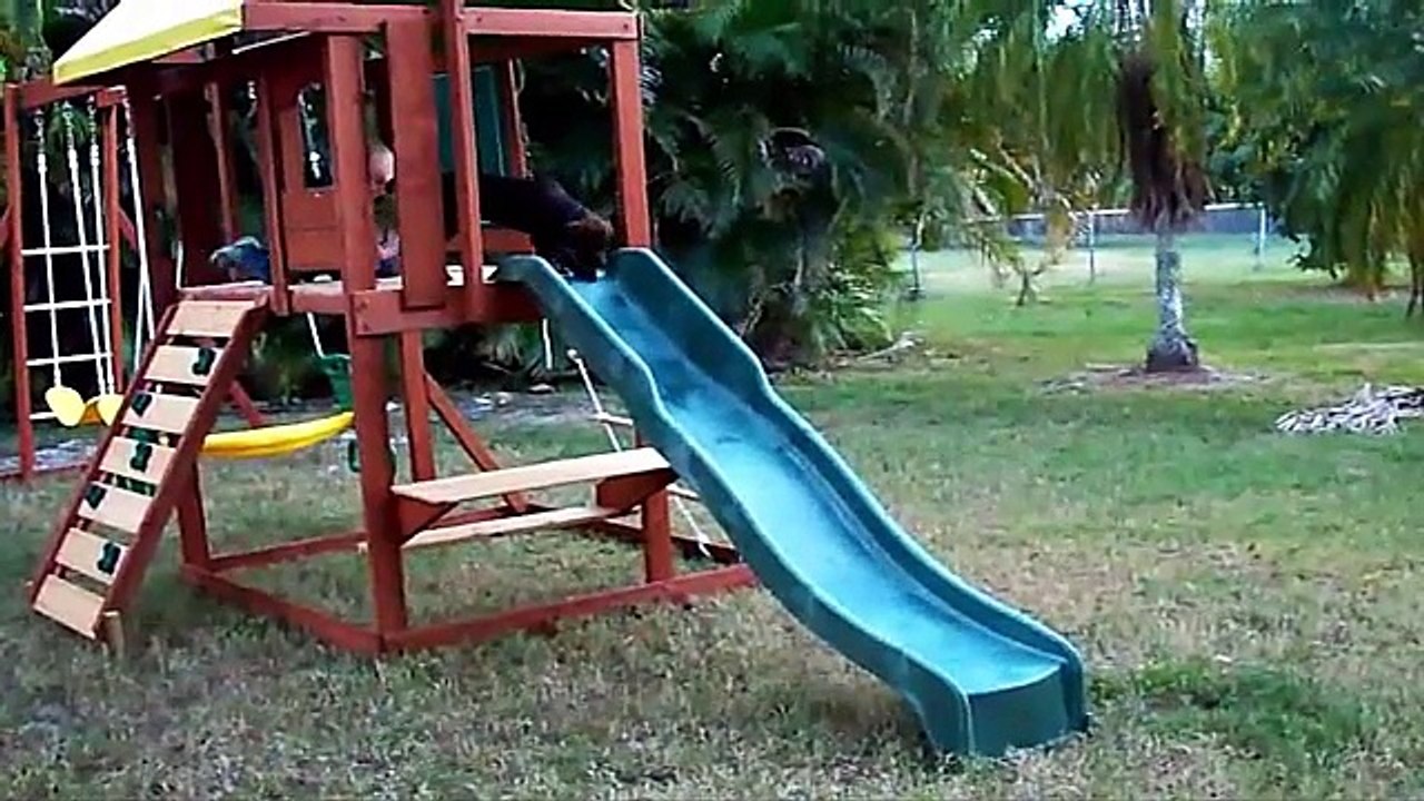 Puppies on Slides Compilation