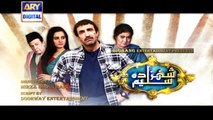 Shehzada Saleem Episode 56 on Ary Digital - 25th April 2016
