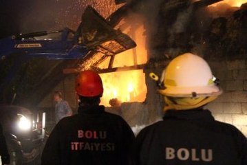 Yangından Kurtardıkları Hayvanları Yolun Üzerinde Kestiler