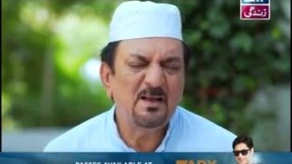 Dil Haari Episode 7 on Ary Zindagi - 25th April 2016