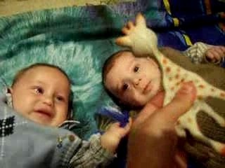 Enes et son cousin ali haydar