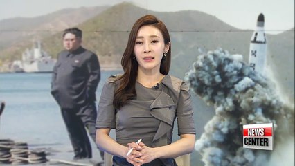 N. Korea's SLMB test may have been successful: 38 North