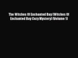 [Read Book] The Witches Of Enchanted Bay (Witches Of Enchanted Bay Cozy Mystery) (Volume 1)