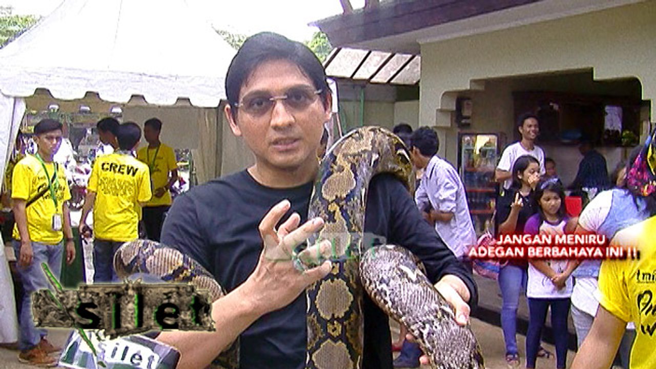 Rindu Ular, Lucky Hakim Kunjungi Pameran Reptil - Silet 26 April 2016
