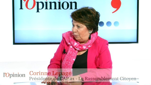 Corinne Lepage - Primaire citoyenne : « C’est une vraie dynamique qui est en marche »