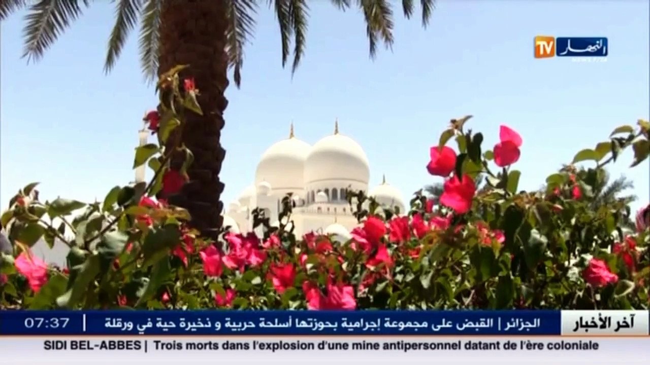 جامع الشيخ زايد الكبير بأبوظبي .... تحفة معماري...