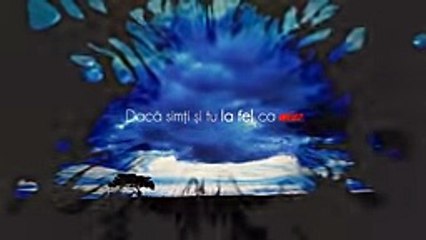 Glance feat. Phelipe - Coltul meu de rai (Lyric Video) Dailymotion By Extreme Ratexd English song