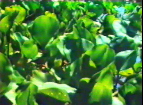 Barbarian Queen (1985) - VHSRip - Rychlodabing