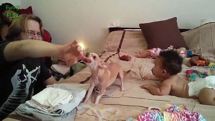 Funny Dogs Protecting Babies-Kids Video - Funny Video
