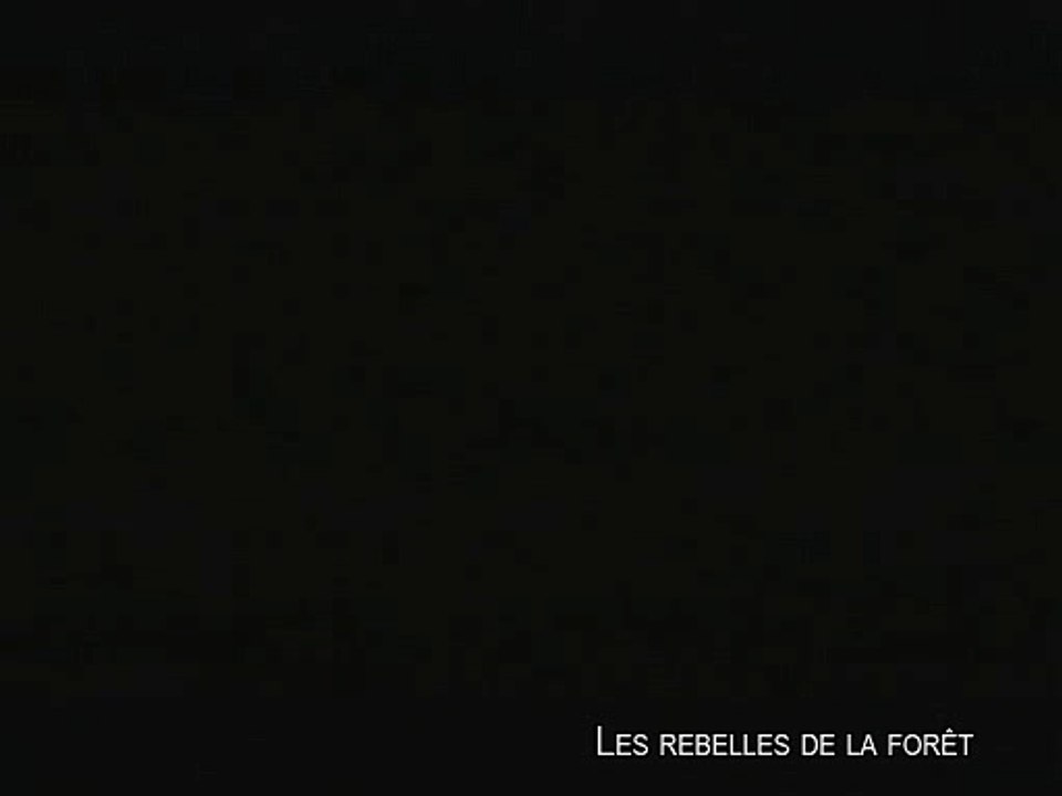 LES REBELLES DE LA FORÊT - Bande-annonce