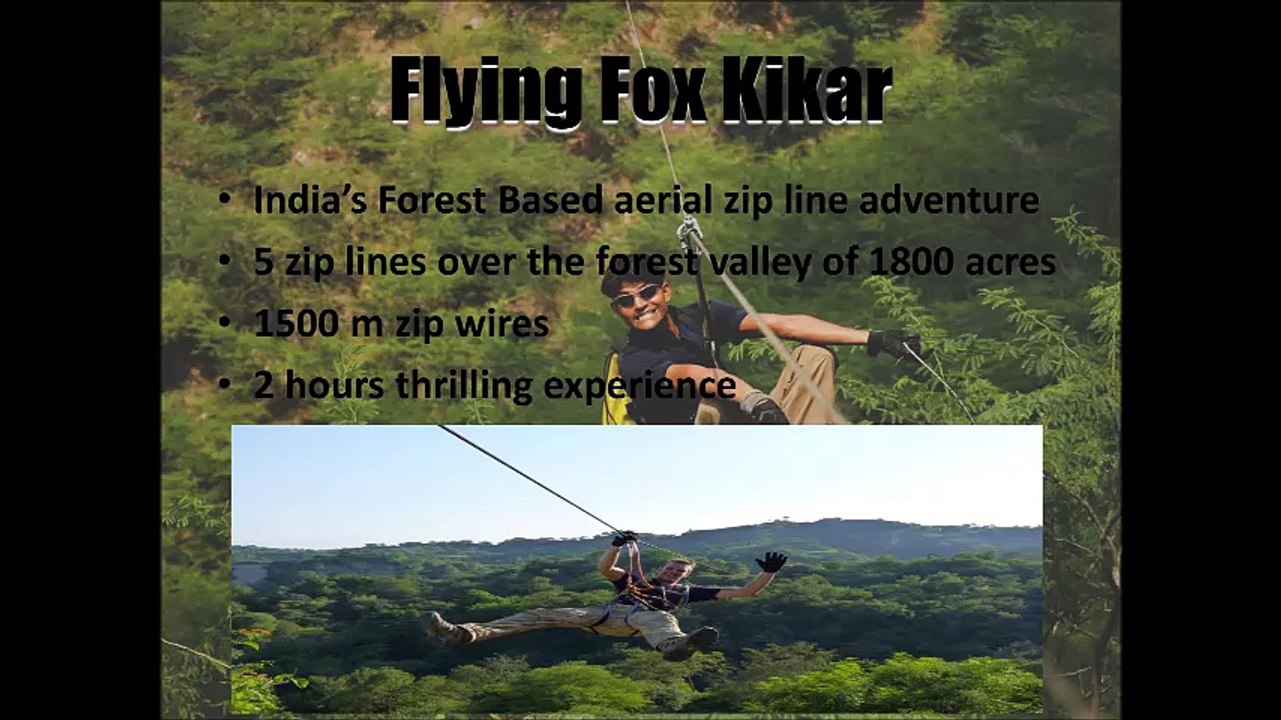 Flying Fox Kikar Lodge - Places to Visit near Chandigarh - things to do in Chandigarh