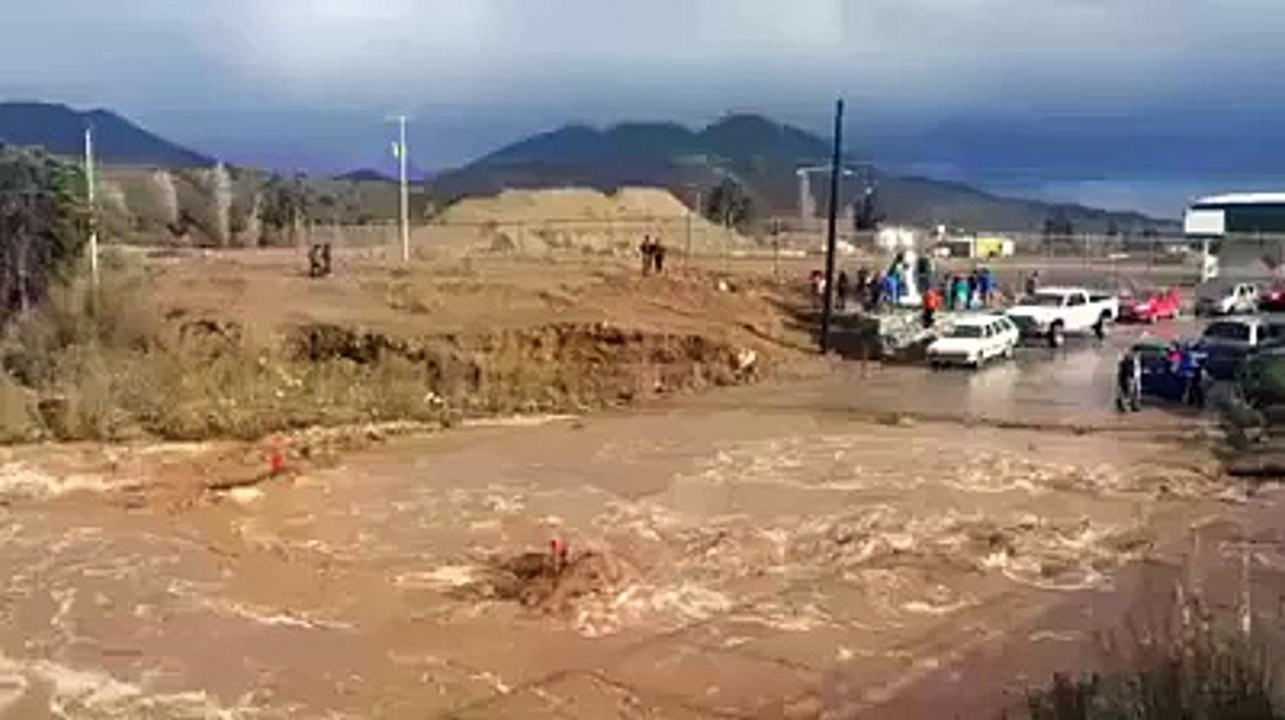 بہت ہی بہادر ڈرائیور ہے.