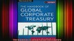 READ book  The Handbook of Global Corporate Treasury Full EBook