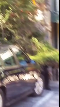 Дикий Медведь залез в тачку!)