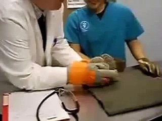 Ежик испугался доктора и плачет!