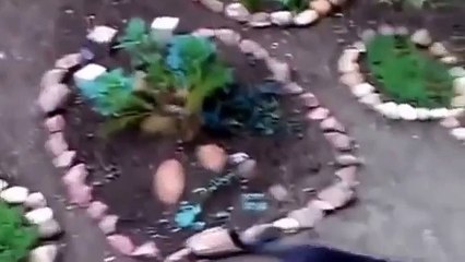 Кот возвращается домой на лифте!