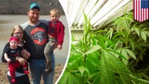 200 marijuana plants found at sites of Ohio family's execution-style massacre