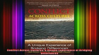 READ book  Conflict Across Cultures A Unique Experience of Bridging Differences Free Online