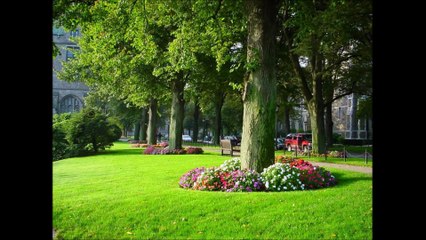 Unique Landscaping & Property Services LLC - (910) 316-2890