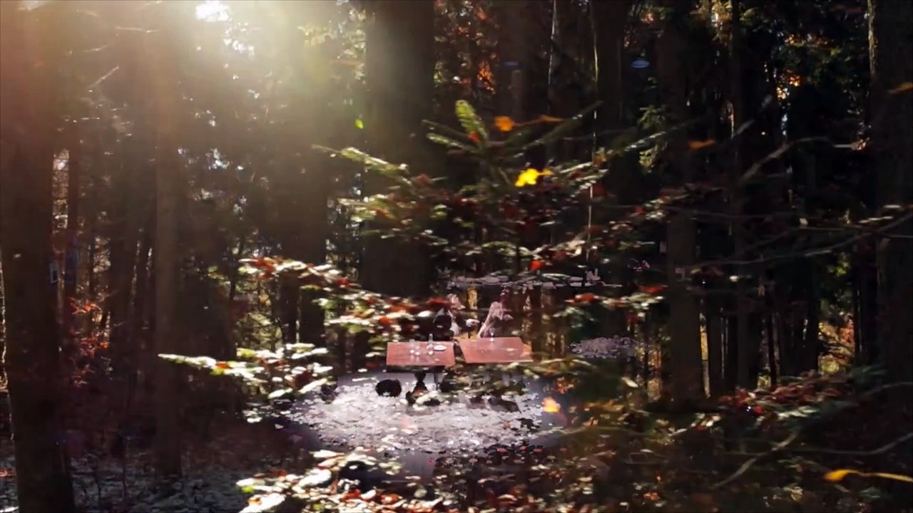 NOUS SOMMES REPUS MAIS PAS REPENTIS (Déjeuner chez Wittgenstein) I Thomas  Bernhard / Séverine Chavrier I Odéon-Berthier