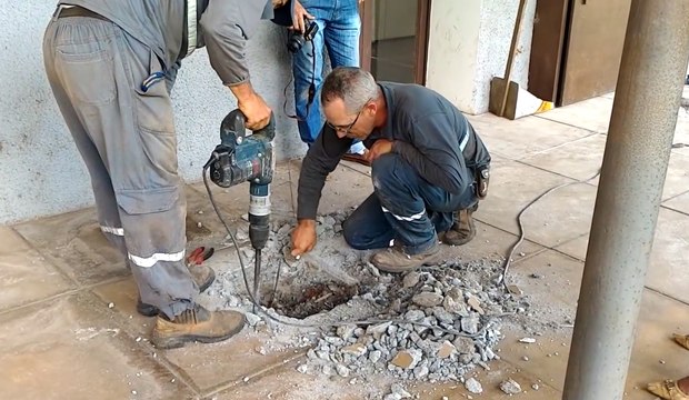 Sauvetage : 4 chatons coincés dans les canalisations