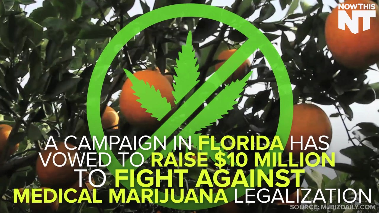 This Campaign's Raising $10 Million To Fight Marijuana Legalization In Florida