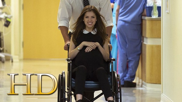 The Hollars pelicula completa gratis online subtitulada en Español