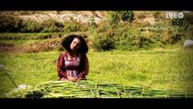 Eritrea - Ariam Zemichael - Adrreni _ ኣድርረኒ - New Eritrean Music 2016