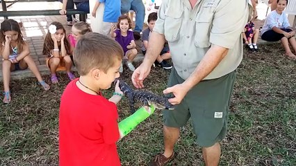 Kid Drops Lizard into Crowd - Funny Animals Channel