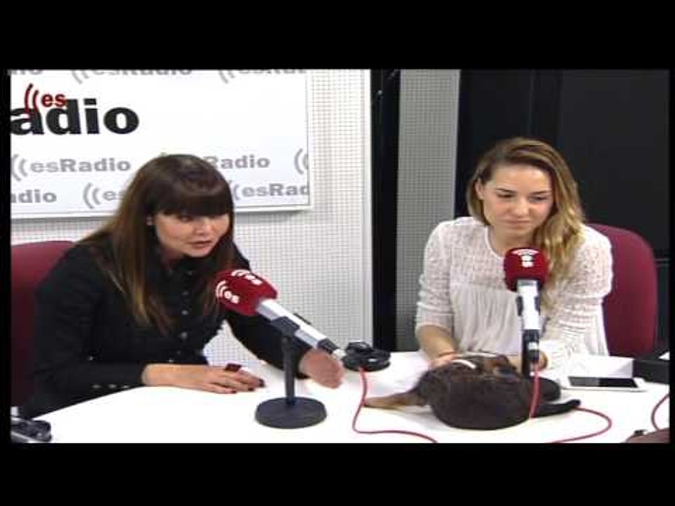 Mascotas: Complementos para tu mascota - 26/04/16