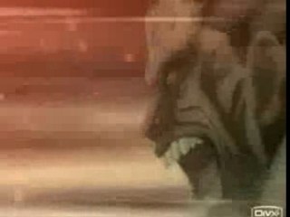 Fate stay night Warrior