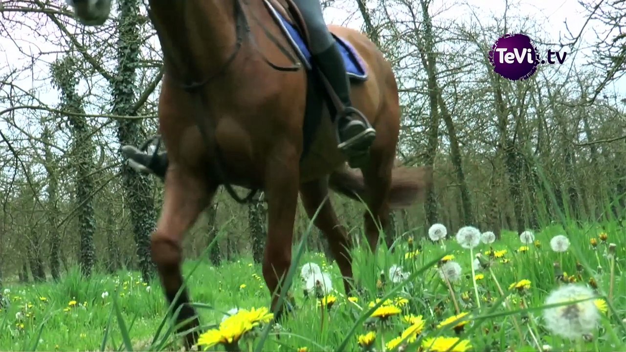 Concours d'endurance au Lycée agricole de Saint-Hilaire-du-Harcouët [TéVi] 16_04_26