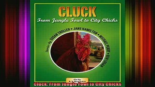 READ book  Cluck From Jungle Fowl to City Chicks Online Free