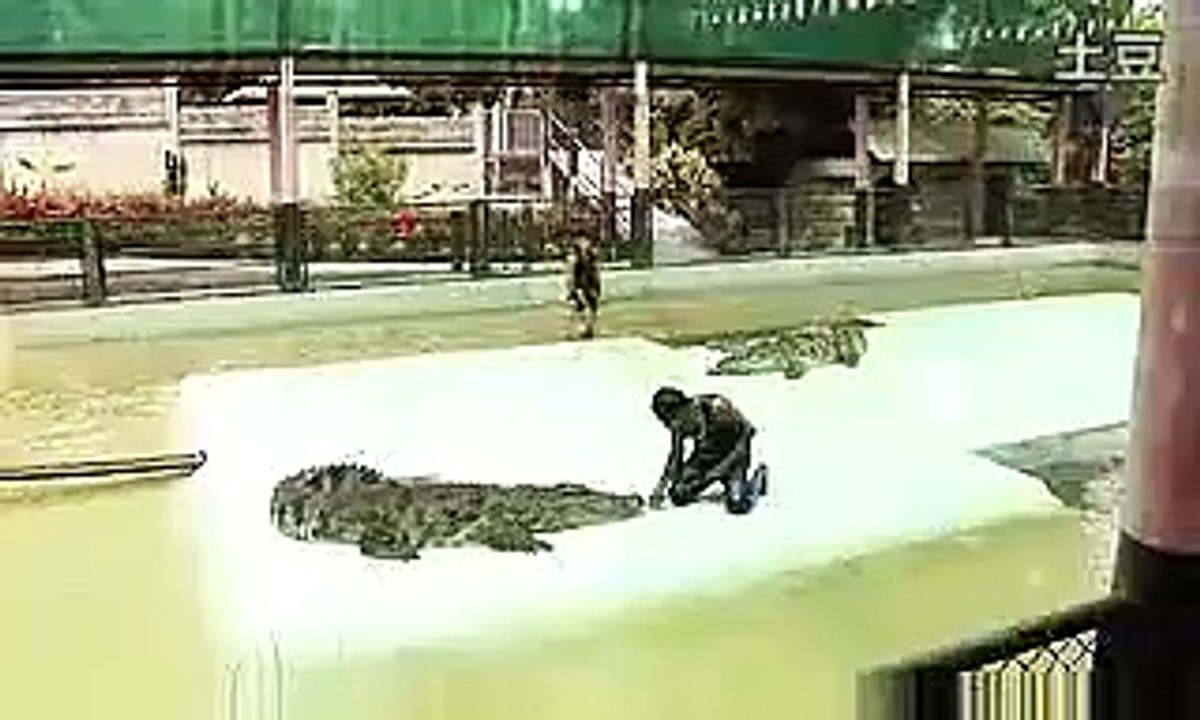 Crocodile eats girl