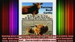 Downlaod Full PDF Free  Raising Beef Cattle 20 Useful Tips On How To Start A Cattle Farm And  Make Money Raising Free Online