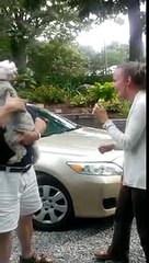 Dog passes out from overwhelming joy