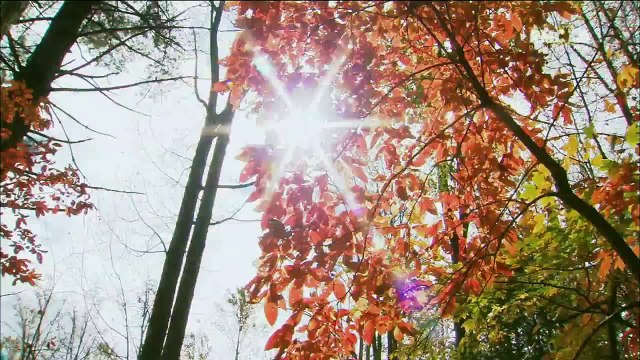 Seuls face à l 'Alaska S02E16 Bande annonce 2