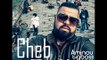 Cheb Bello ( Diwanya )(malah hada rah mride) jdide top Live 2016 by sofnet