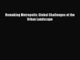 Download Remaking Metropolis: Global Challenges of the Urban Landscape PDF Free